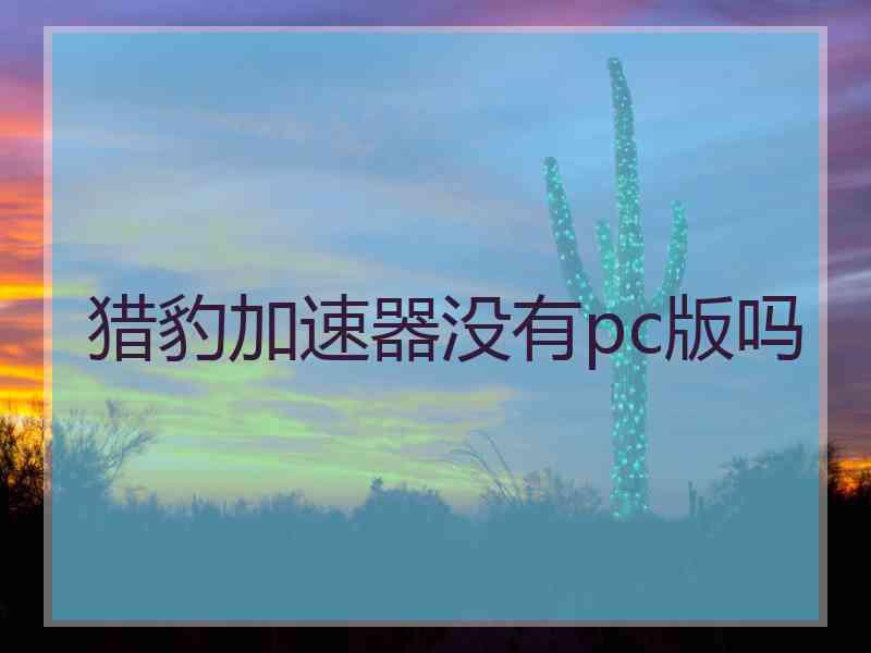 猎豹加速器没有pc版吗