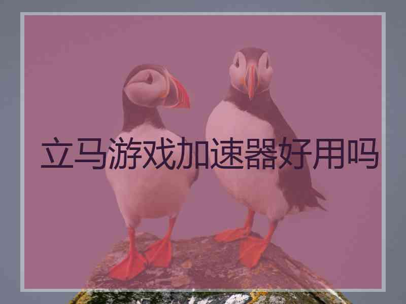 立马游戏加速器好用吗