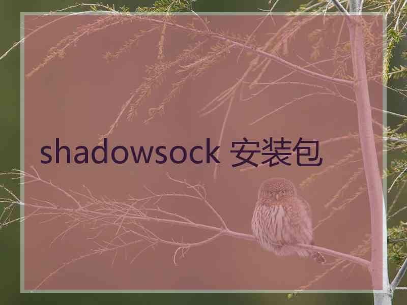 shadowsock 安装包