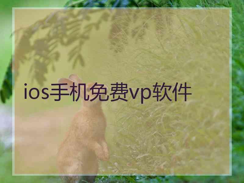 ios手机免费vp软件