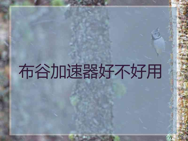 布谷加速器好不好用