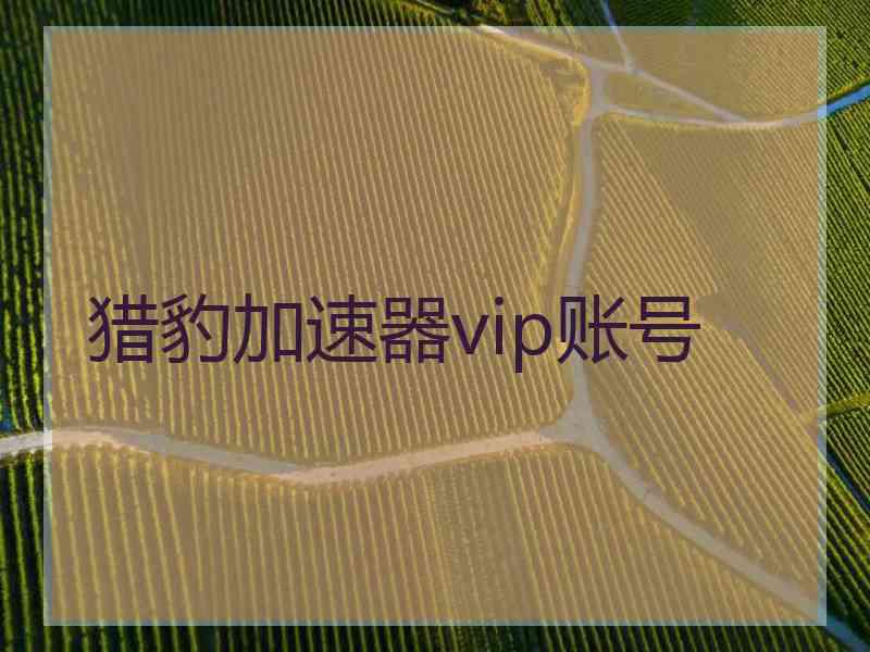 猎豹加速器vip账号