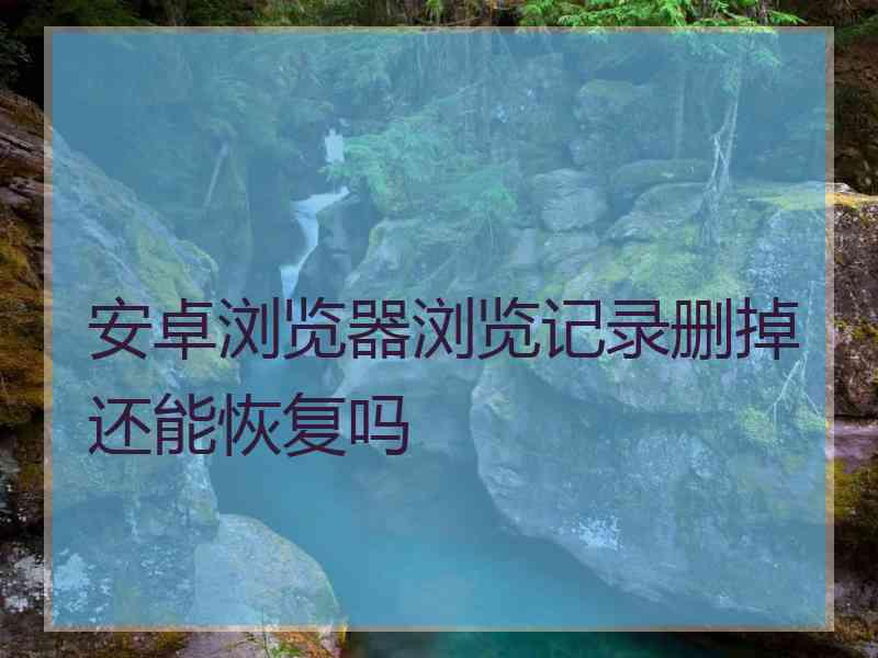安卓浏览器浏览记录删掉还能恢复吗