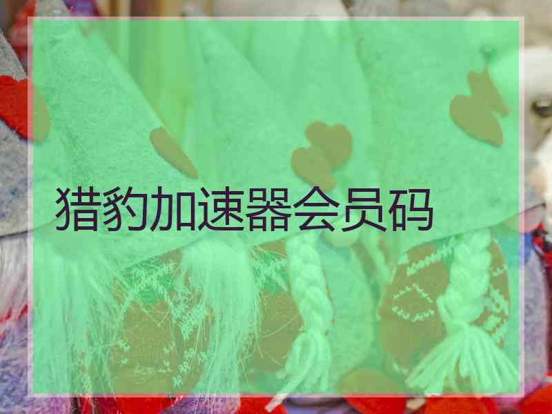 猎豹加速器会员码