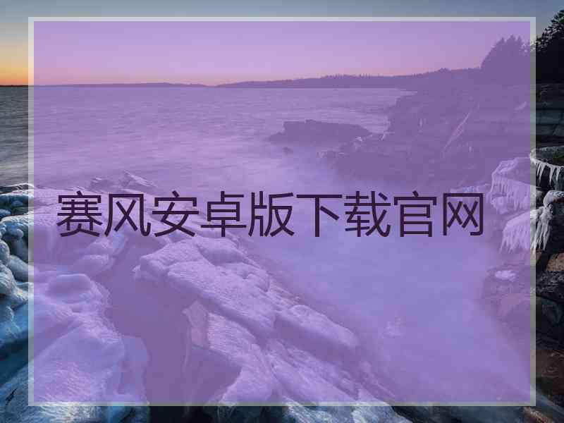 赛风安卓版下载官网