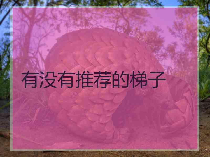 有没有推荐的梯子