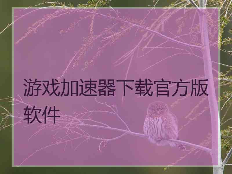 游戏加速器下载官方版软件