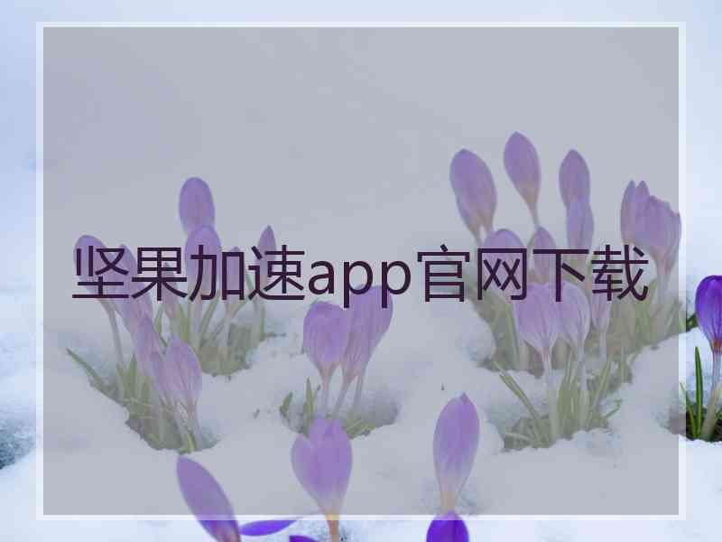 坚果加速app官网下载