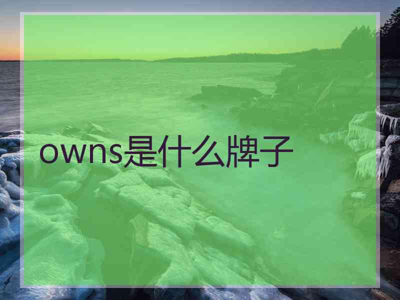 owns是什么牌子