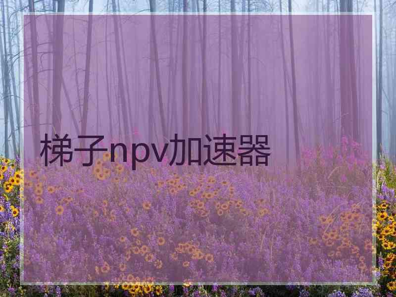 梯子npv加速器