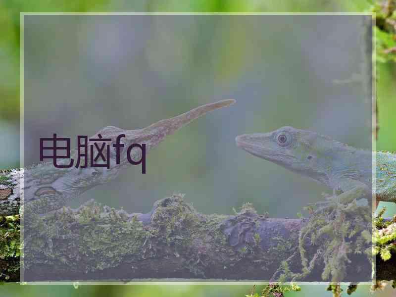 电脑fq