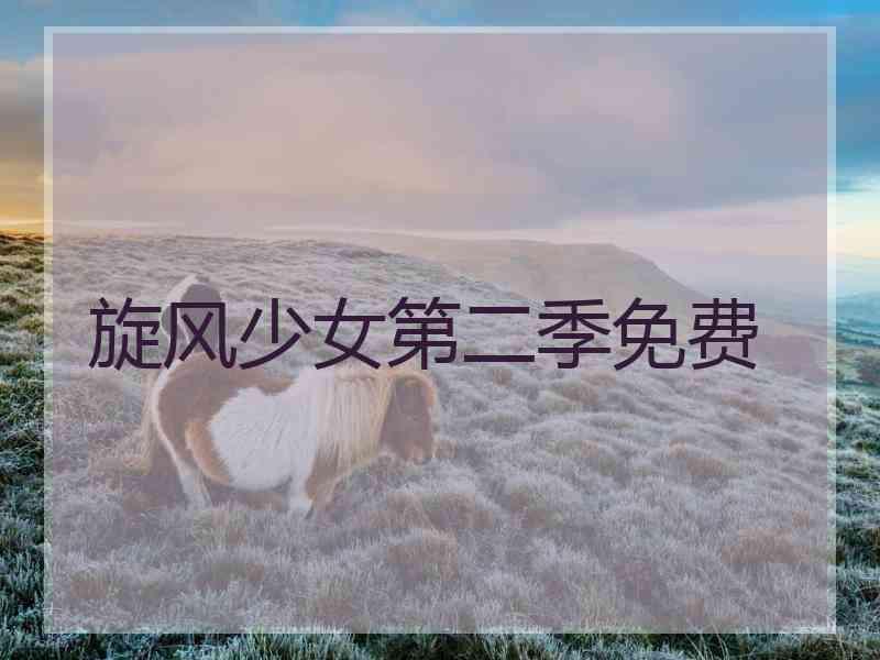 旋风少女第二季免费