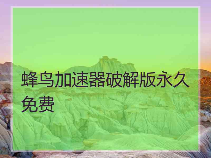 蜂鸟加速器破解版永久免费