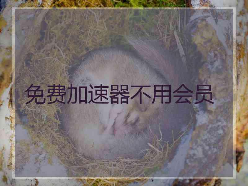 免费加速器不用会员