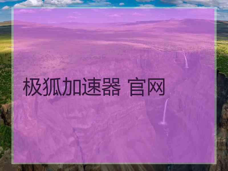极狐加速器 官网