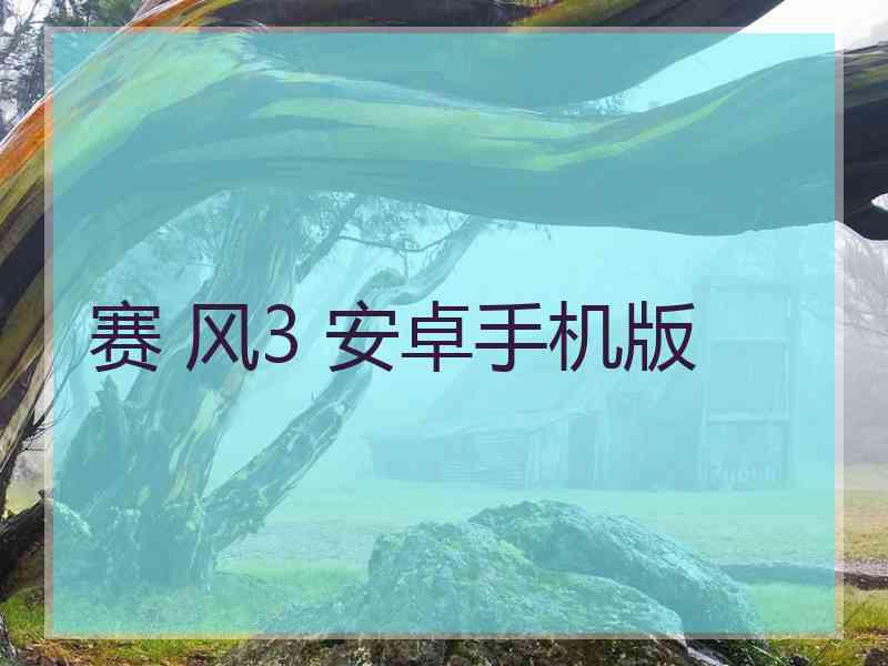赛 风3 安卓手机版