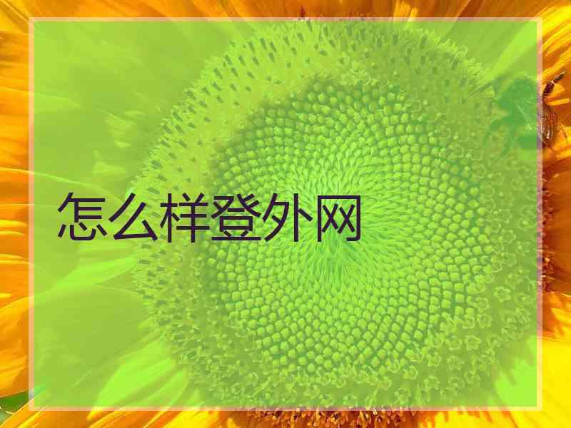 怎么样登外网