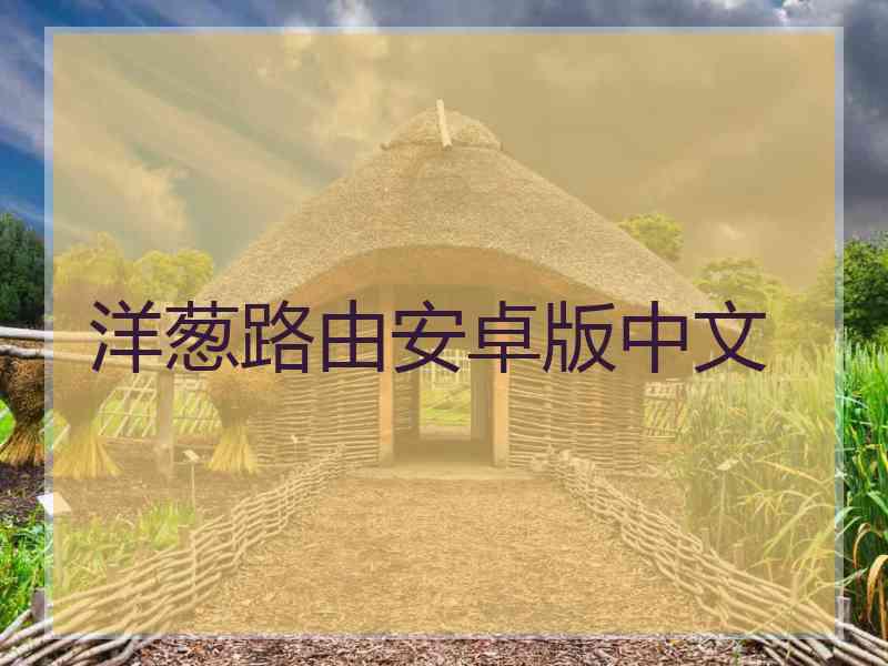 洋葱路由安卓版中文