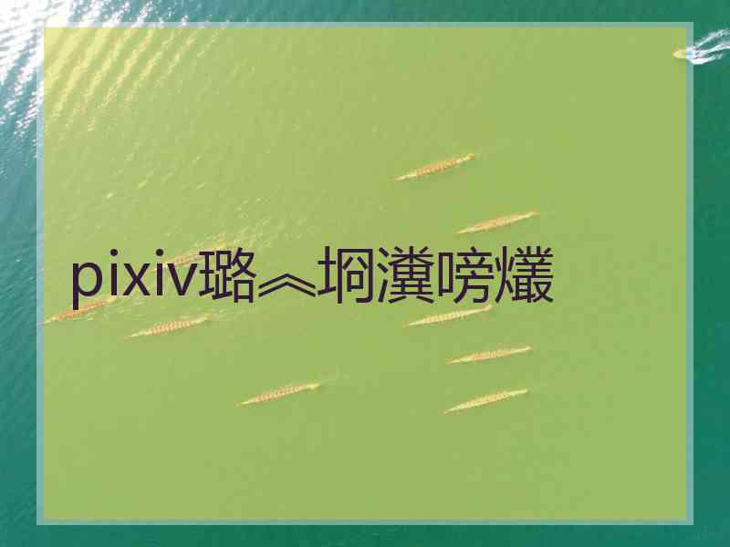 pixiv璐︽埛瀵嗙爜