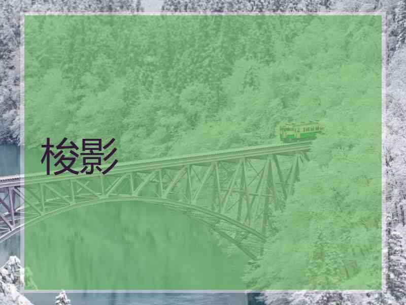梭影
