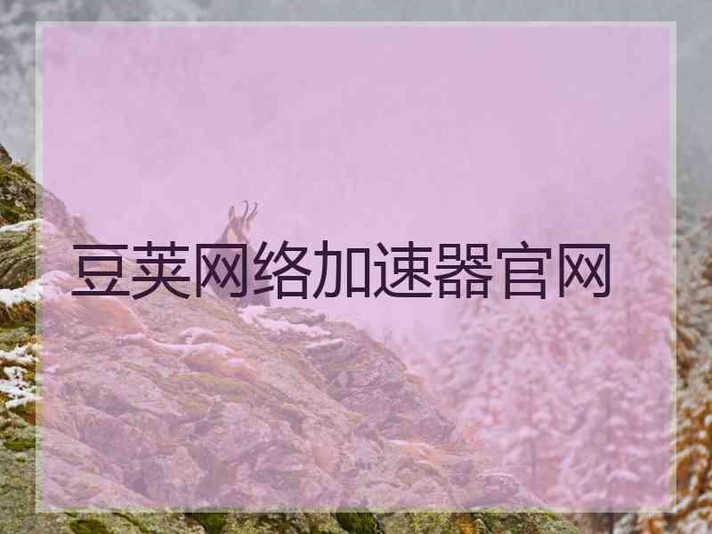 豆荚网络加速器官网