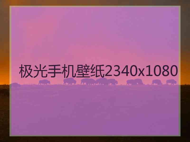极光手机壁纸2340x1080