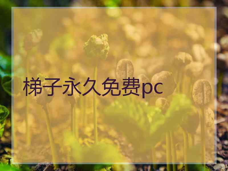 梯子永久免费pc