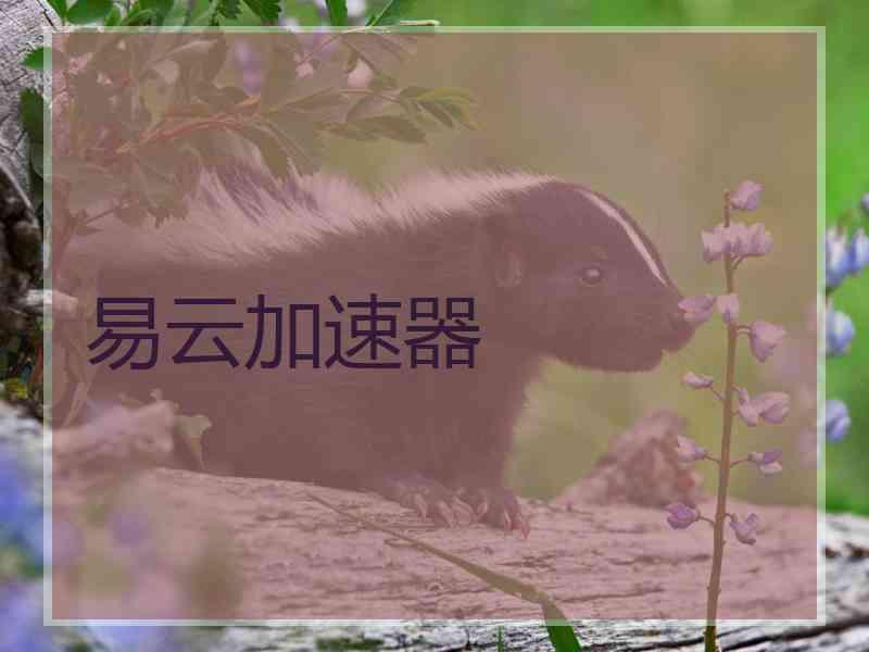易云加速器