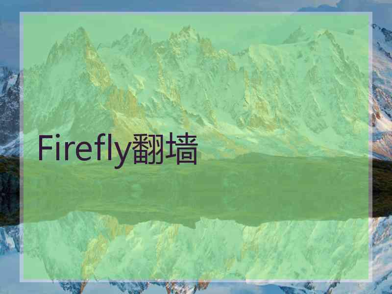 Firefly翻墙