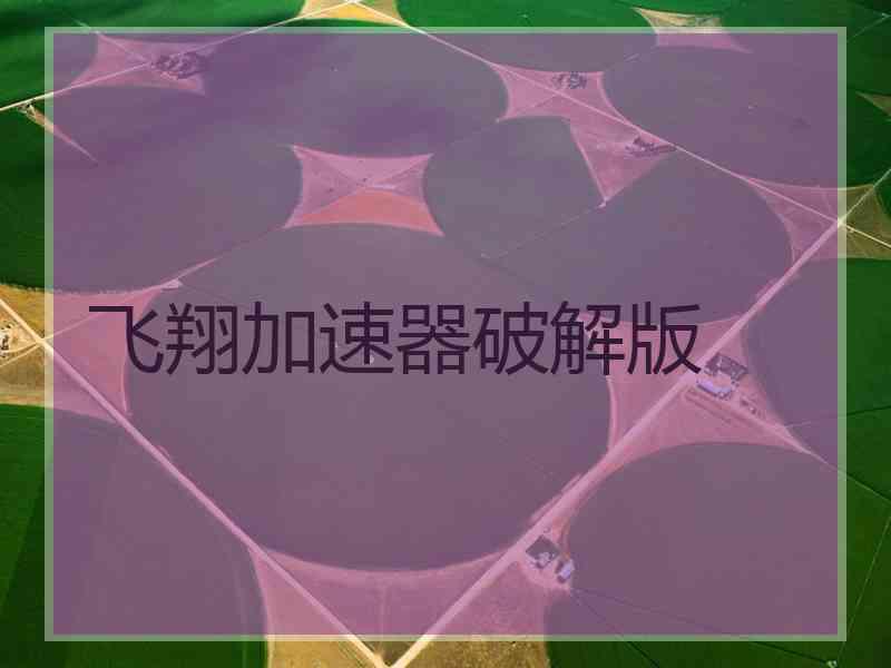 飞翔加速器破解版