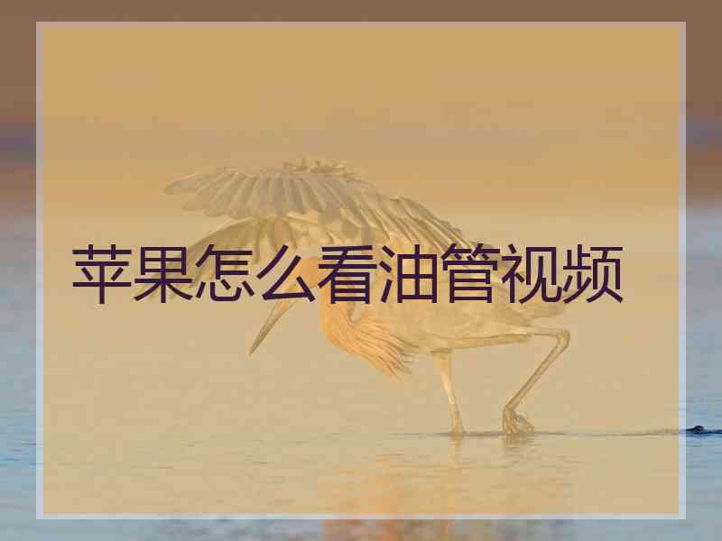 苹果怎么看油管视频