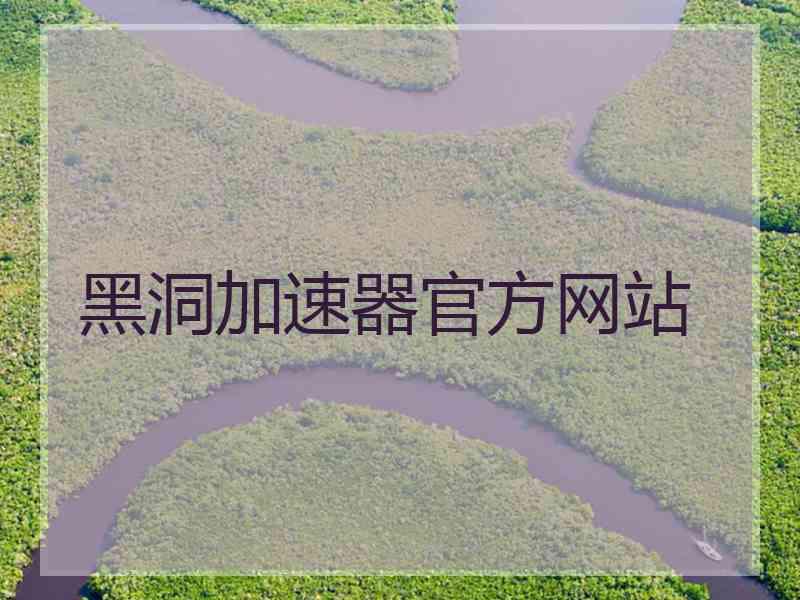 黑洞加速器官方网站
