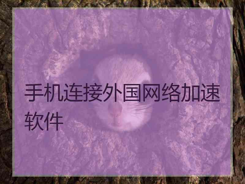 手机连接外国网络加速软件