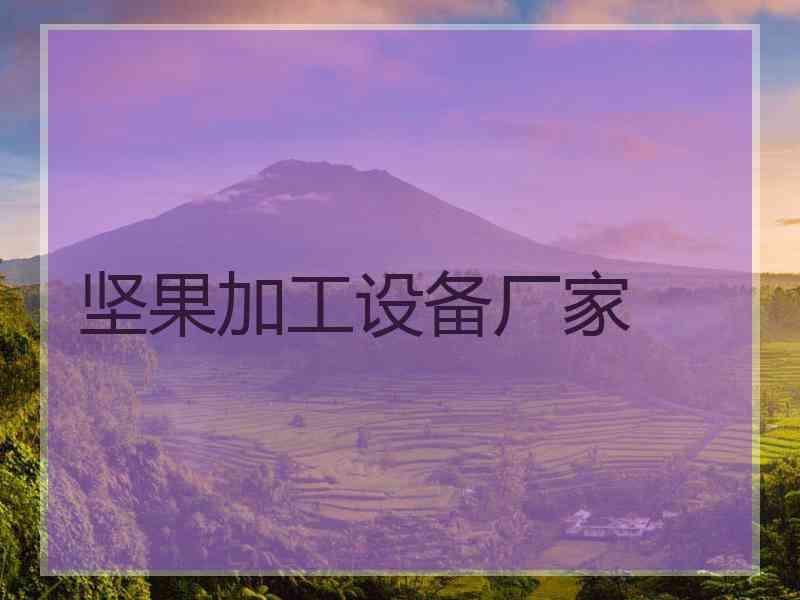 坚果加工设备厂家