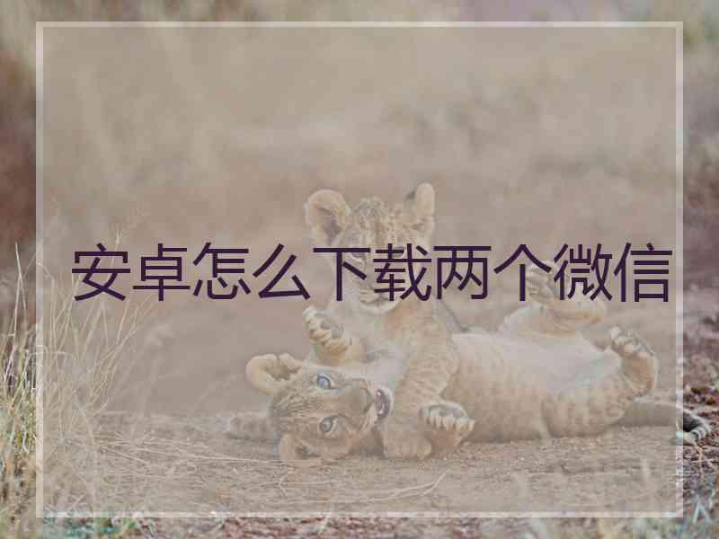 安卓怎么下载两个微信