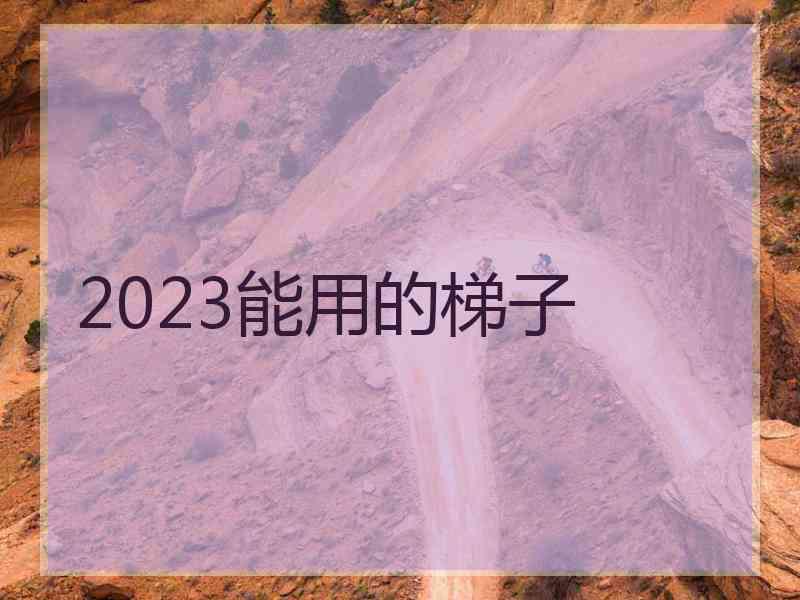 2023能用的梯子