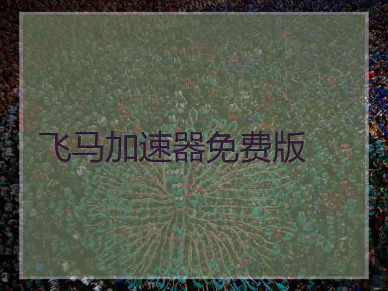 飞马加速器免费版