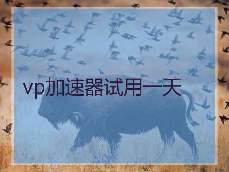 vp加速器试用一天