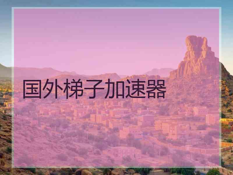 国外梯子加速器