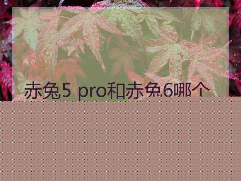 赤兔5 pro和赤兔6哪个好