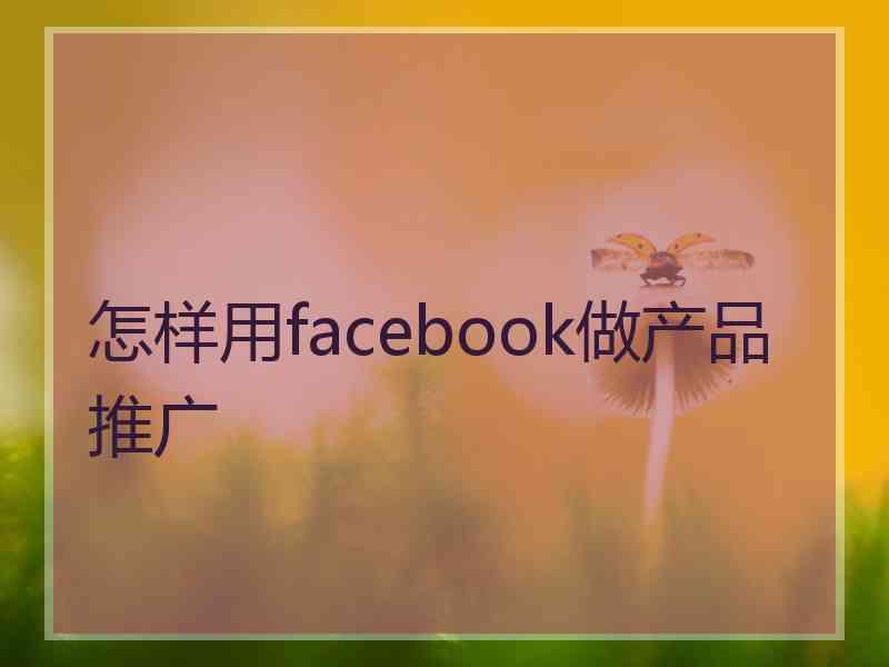 怎样用facebook做产品推广