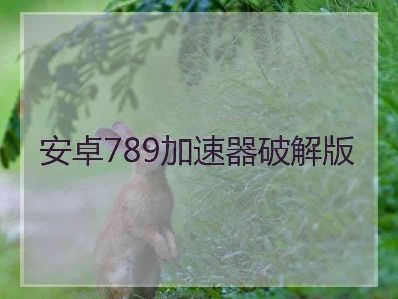 安卓789加速器破解版