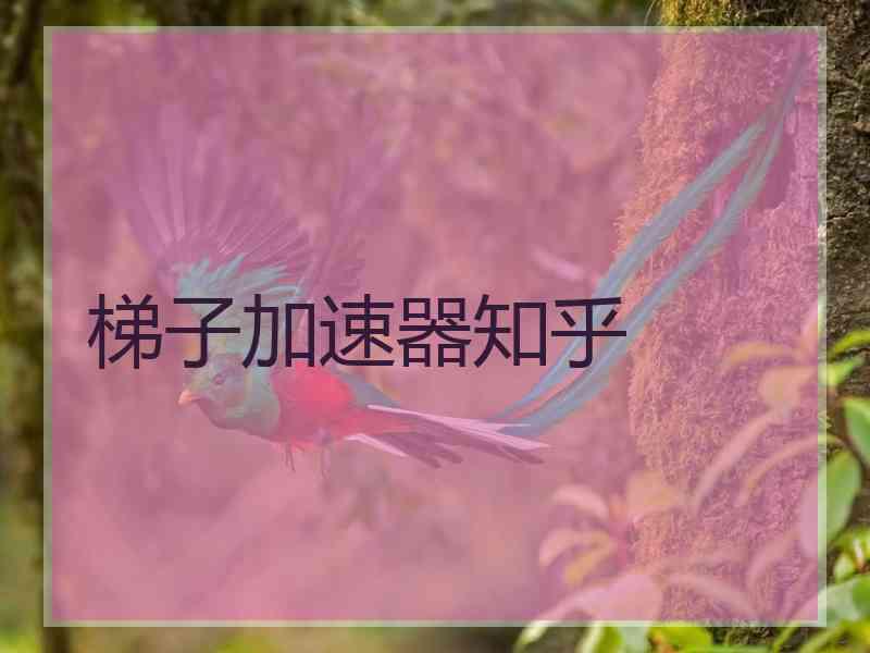 梯子加速器知乎