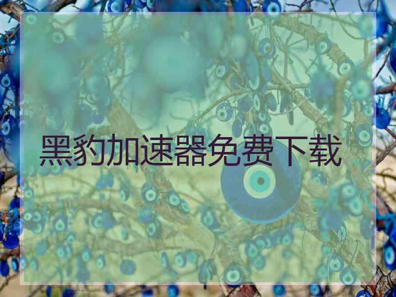 黑豹加速器免费下载