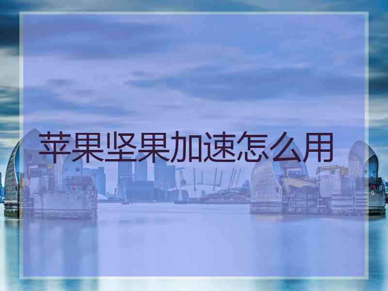 苹果坚果加速怎么用
