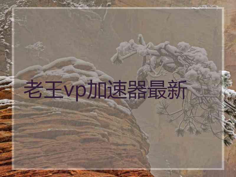 老王vp加速器最新