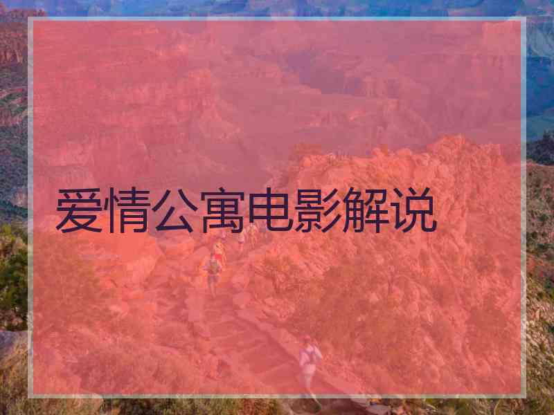 爱情公寓电影解说