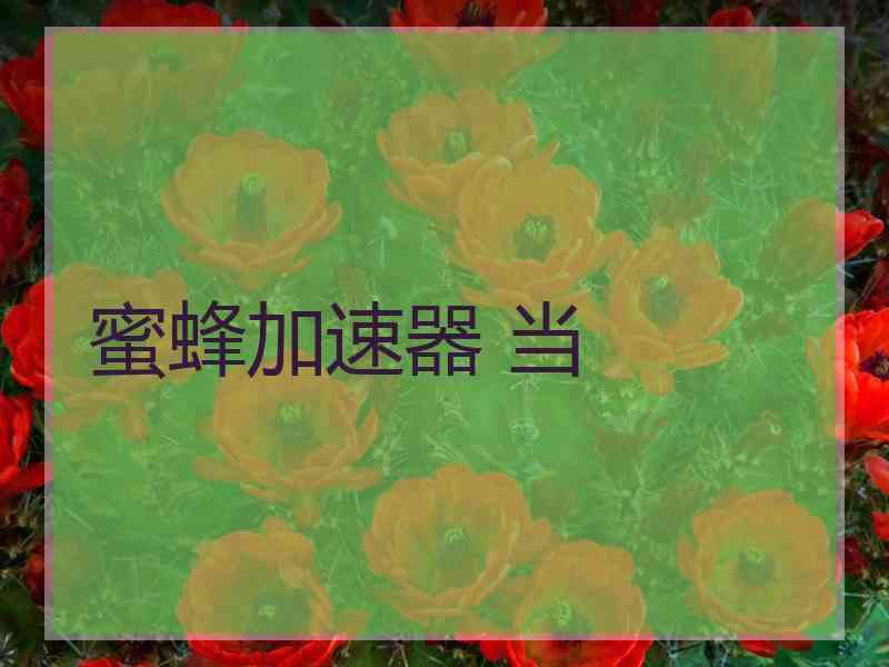 蜜蜂加速器 当