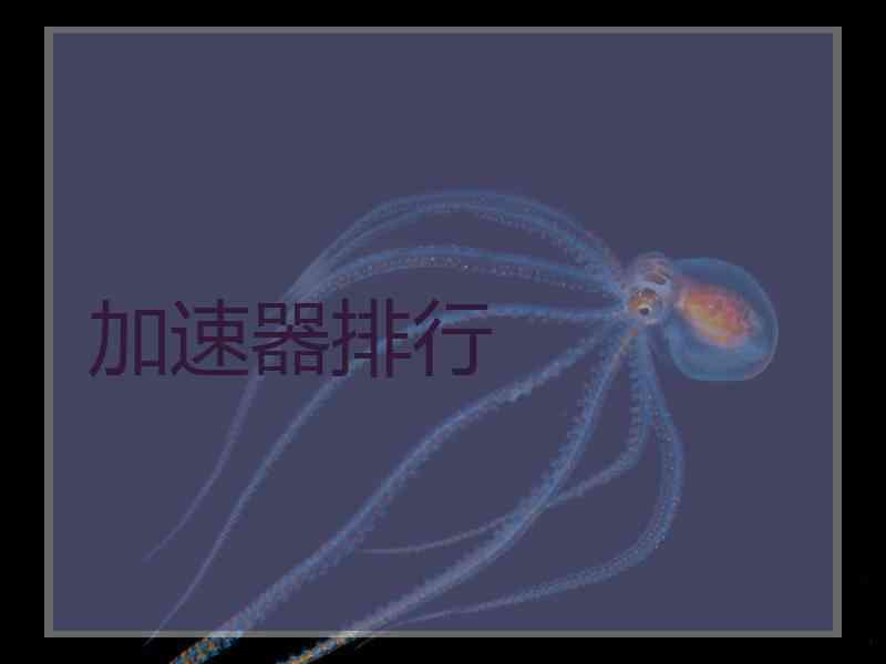 加速器排行