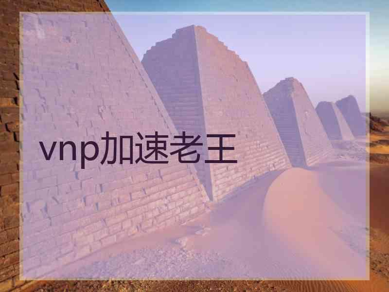 vnp加速老王